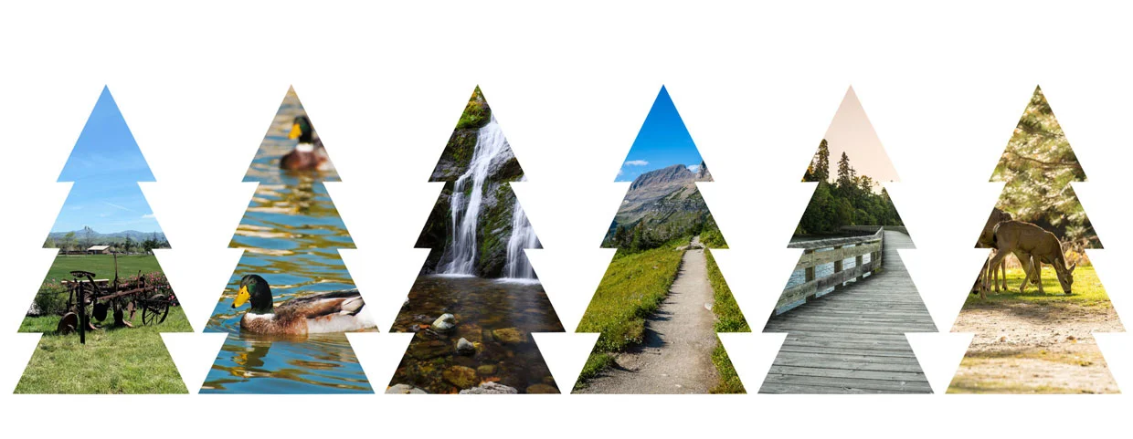 Tree cutouts with various animals, nature, and landscapes.